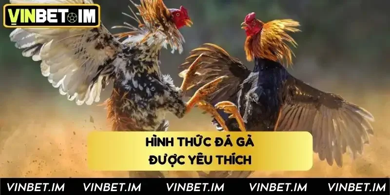 Những hình thức đá gà tại Vinbet được yêu thích nhất