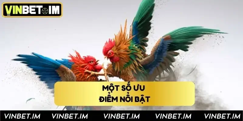 Một số ưu điểm nổi bật của đá gà Vinbet