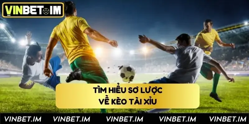 Tìm hiểu sơ lược về kèo tài xỉu Vinbet