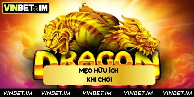 Mẹo hữu ích khi tham gia chơi rồng hổ tại Vinbet