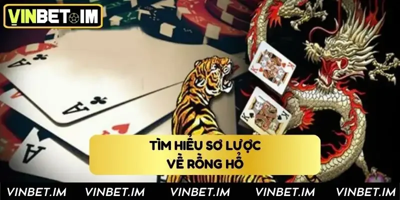 Tìm hiểu sơ lược về rồng hổ Vinbet