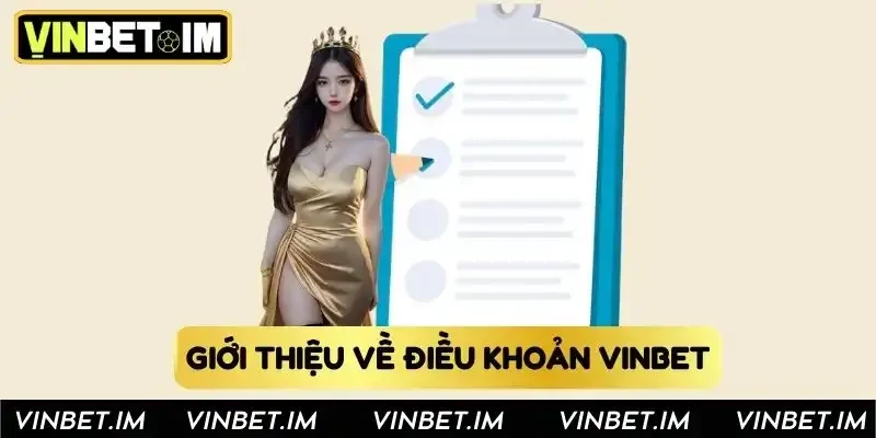 Giới thiệu về điều khoản Vinbet