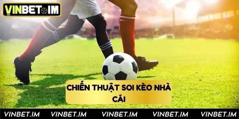 Chiến thuật soi kèo tại nhà cái Vinbet