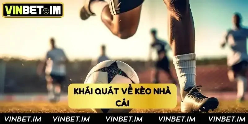 Khái quát về cách soi cầu kèo nhà cái Vinbet