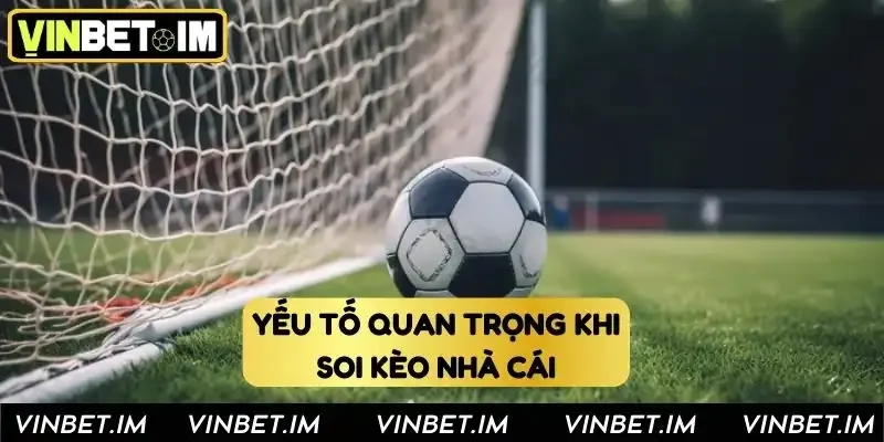 Yếu tố quan trọng khi soi cầu tại Vinbet